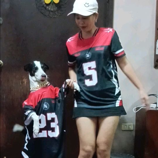 denia&panda