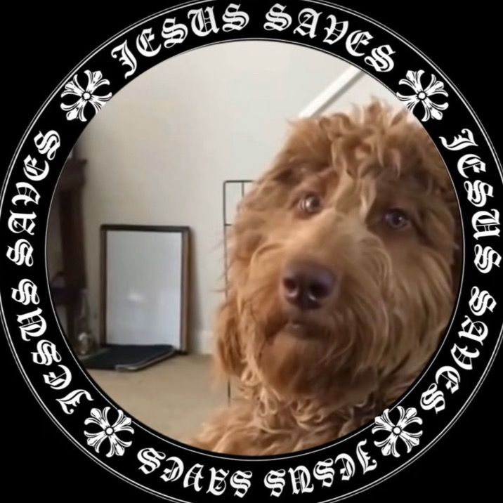 𝙘𝙡𝙤𝙬𝙣𝙯𝙮𝙛𝙣