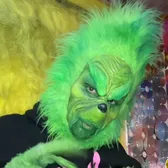 grinchthatstoletiktok