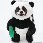 Huxley & Eugenia | Panda Puppy