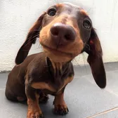 ❤️ 💙 💜