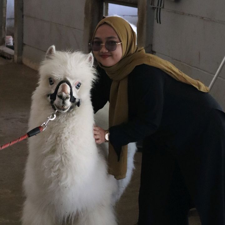 Syahfitri_laila