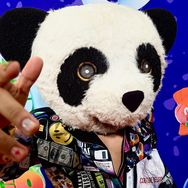 PANDA 🐼