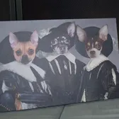 TurboRoo the 2Legged Chihuahua