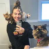 🐱Ellie🐱