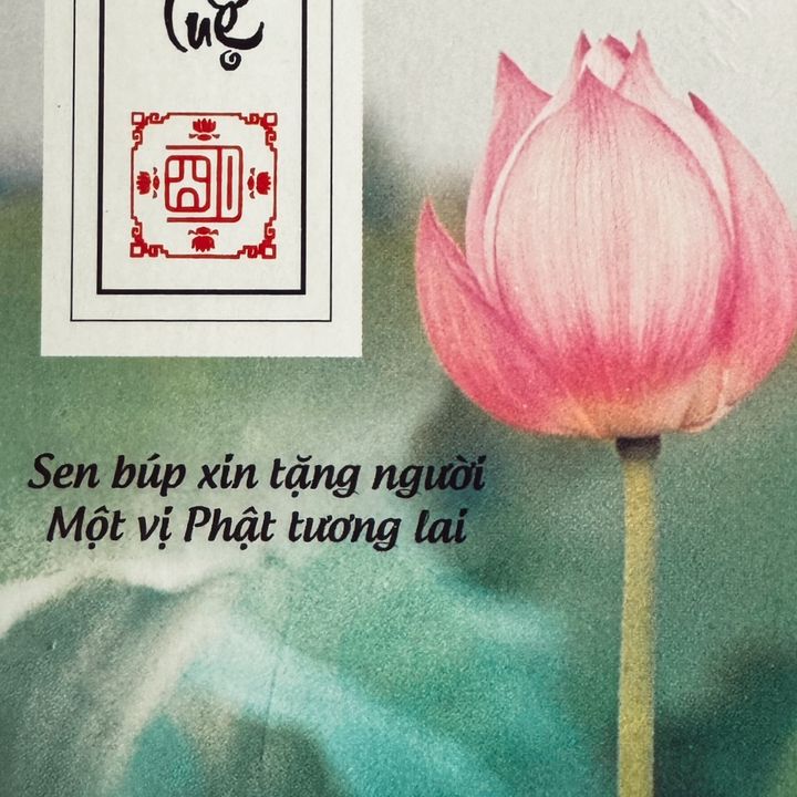Lâm Hải Đăng (MN)