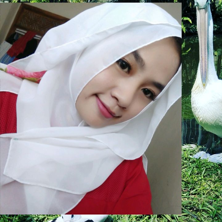 K'tut MUrni