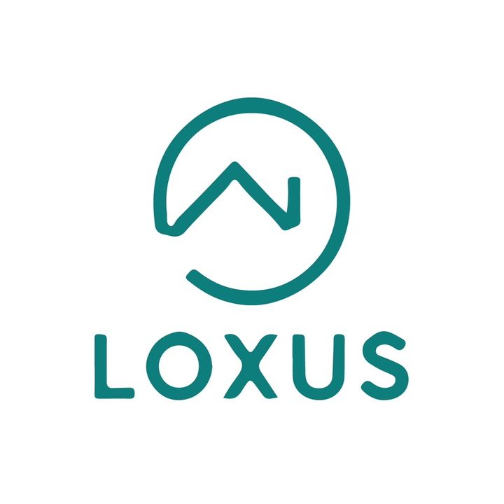 Loxus Shoes Cleaner