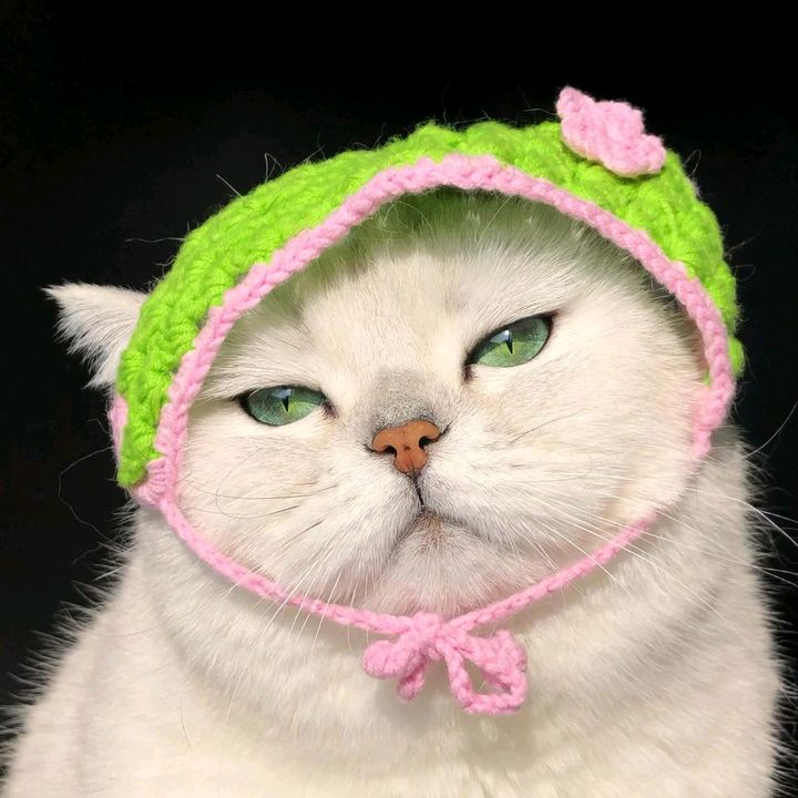 💚Pha.Yaa~~
