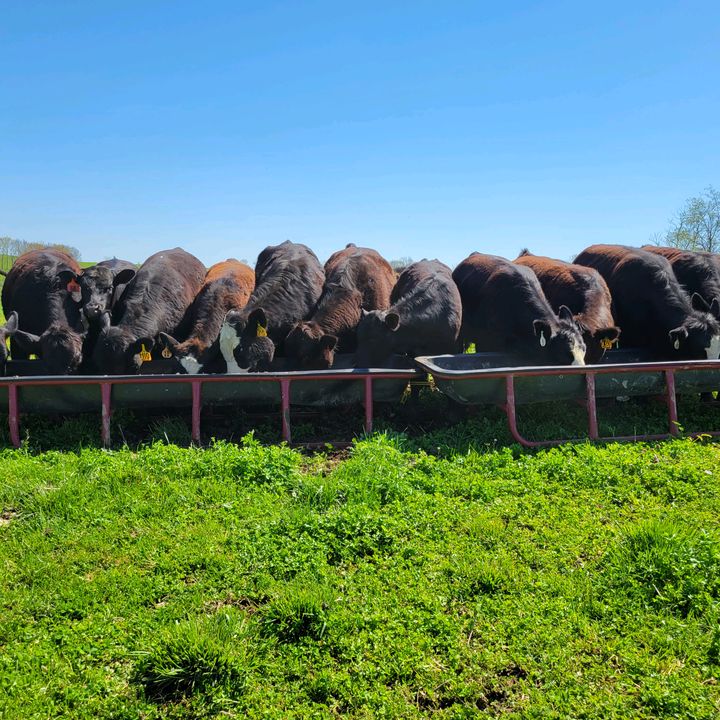 highline_hills_farm
