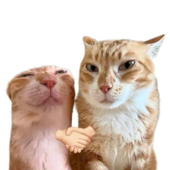 〽️