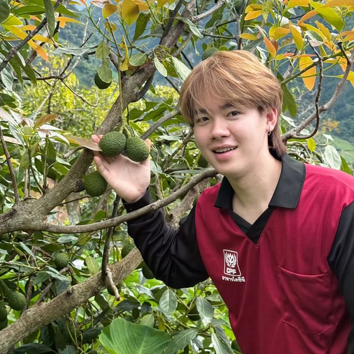 ซุปเปอร์ท็อปปป