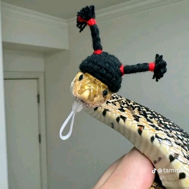 mr_