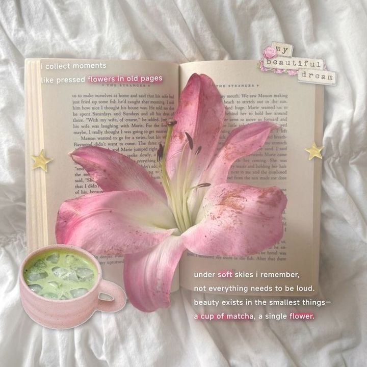 deiidiary 𝜗𝜚 ࣪˖ ִ𐙚