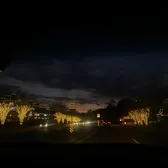 LilYapperr