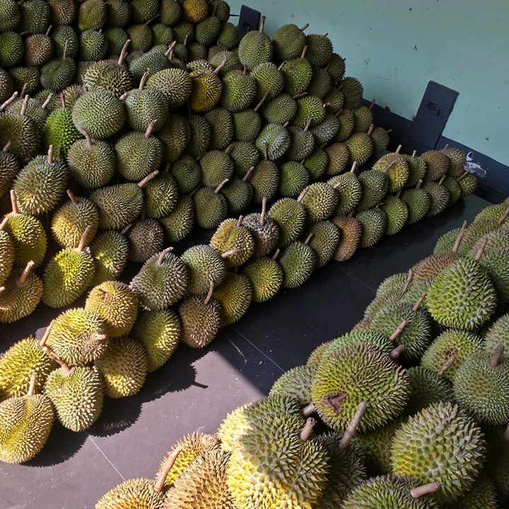 Raybuah