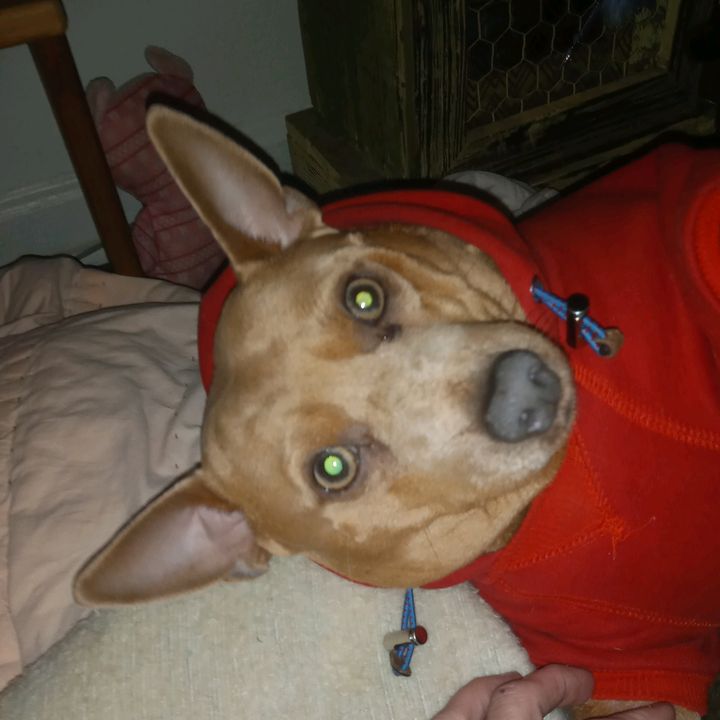 Ginny0971