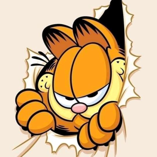 Cik_BunGa