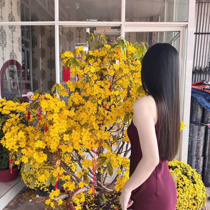 Nguyễn Thị Hồng