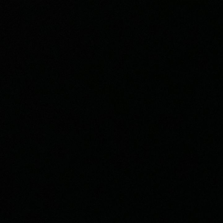 nikkita_collinss