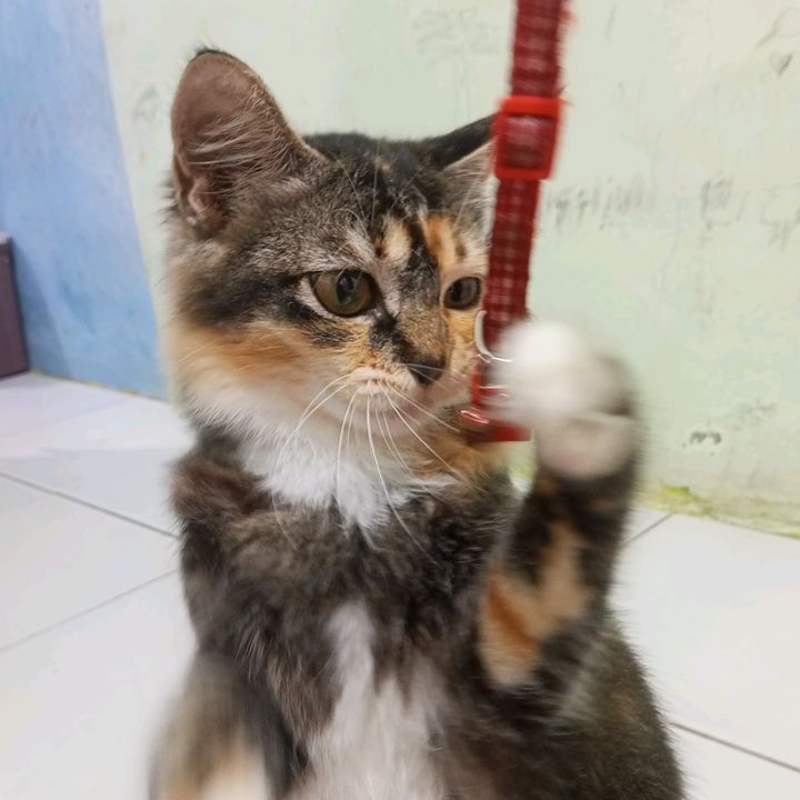 Yuni98