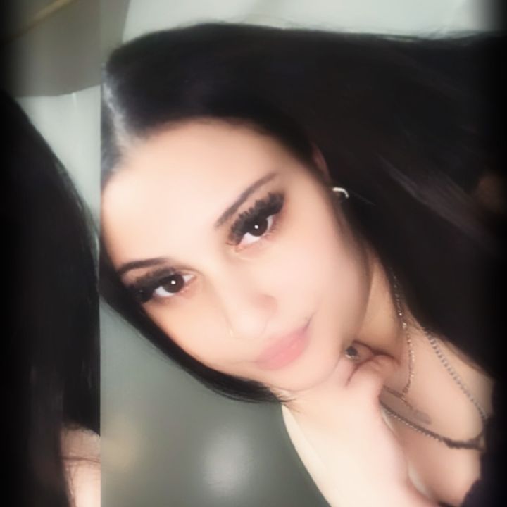 5ivestaryari