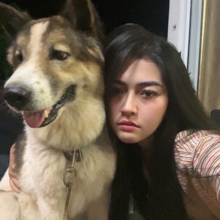 Sirifaii