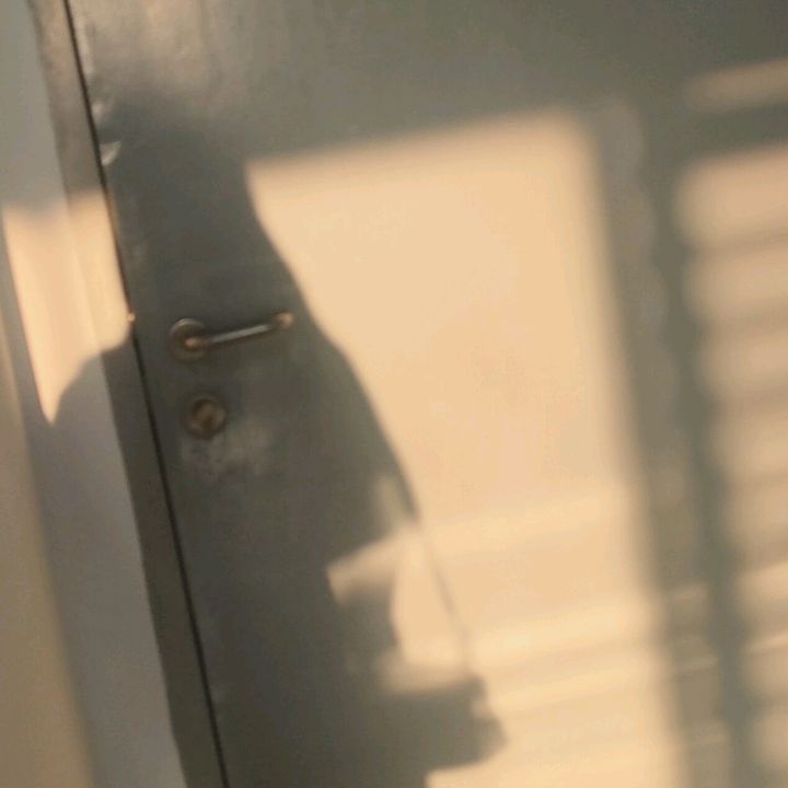 Aιɳɳυɾ🕊️🍉