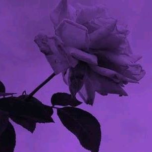 🦋Liliana🦋