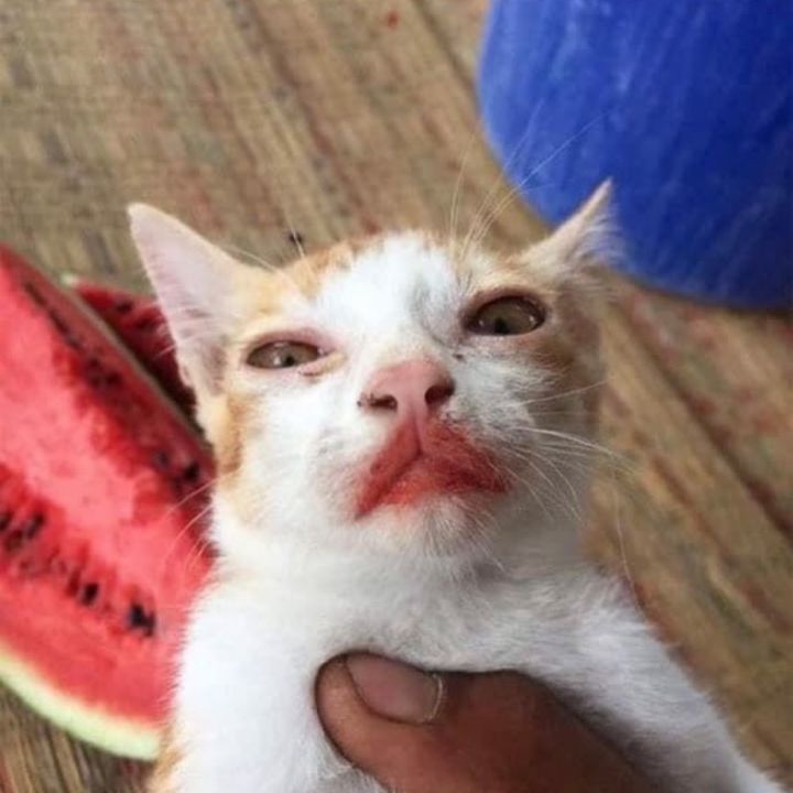 .