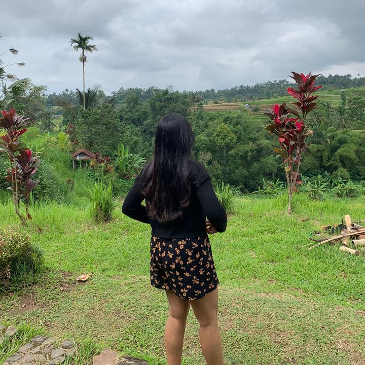 Staryus ✨