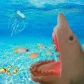 Sharky 🦈