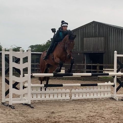 Horsegirlalex