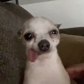 mil