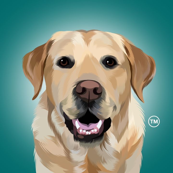 Magnus The Therapy Dog