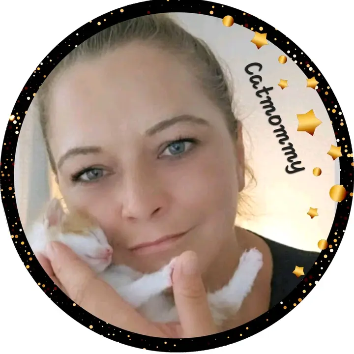 ❤️Catmommy❤️