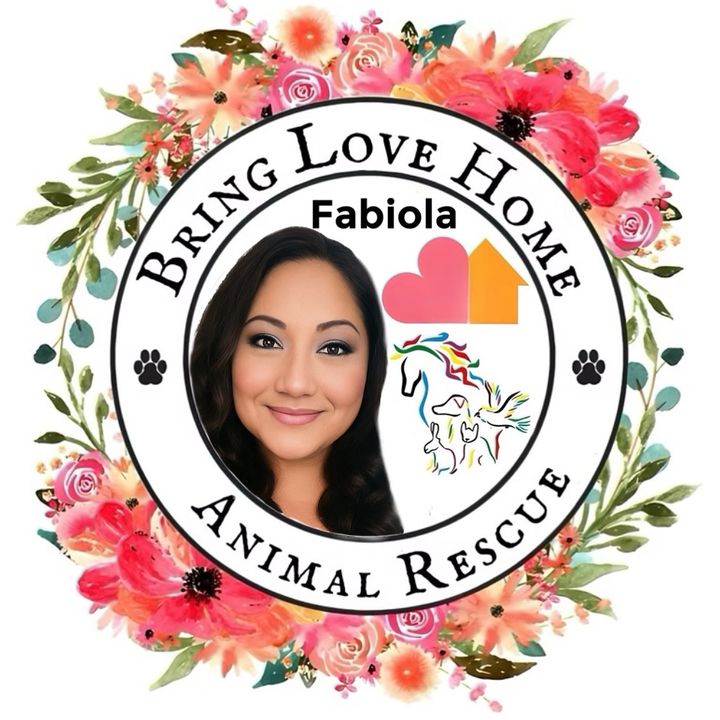 Bring Love Home Animal Rescue