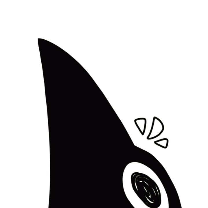 Magpie's Oddities