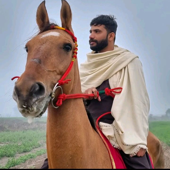 Tasawar Ahmad 786