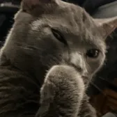 AdamTrippin13