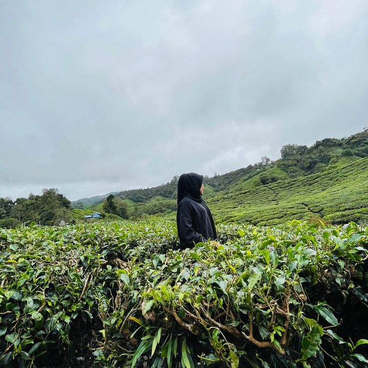 miera_irdiana05