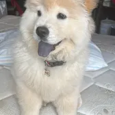 Muñeco