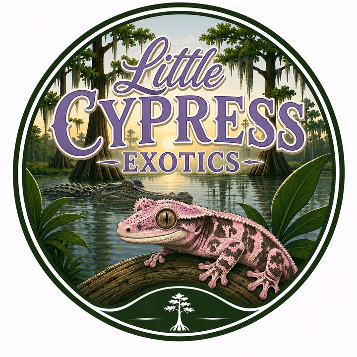 Mandy-LittleCypressExotics💜🦎