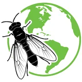 GrubTerra