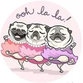 Pugdashians