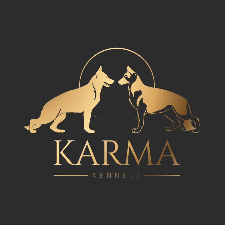 Karma Kennels | GSD