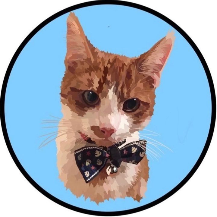 😺Timothythecat0😺