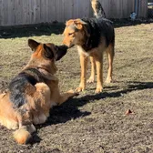 🥰🩵🩵KODA-Nikita—KITA🩵🩵🥰