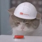 kaiminty