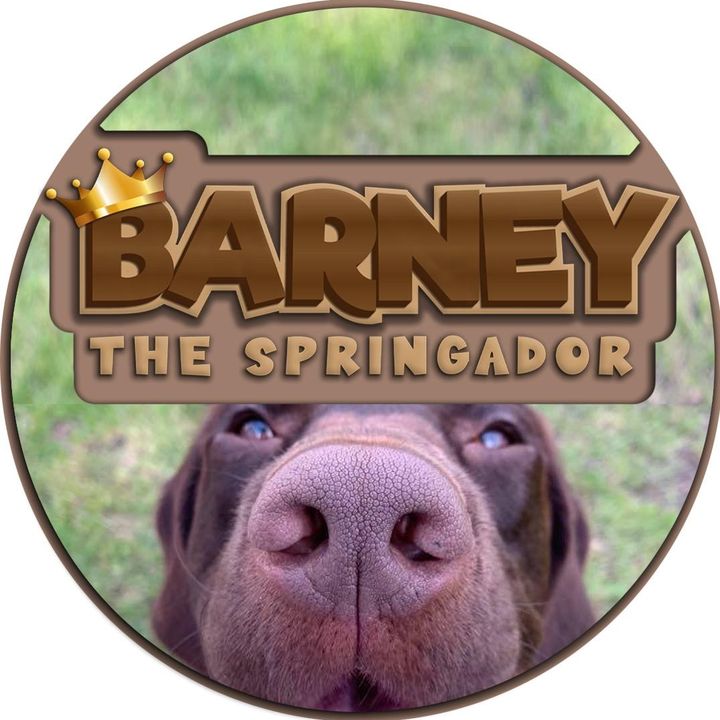 BarneyTheSpringador